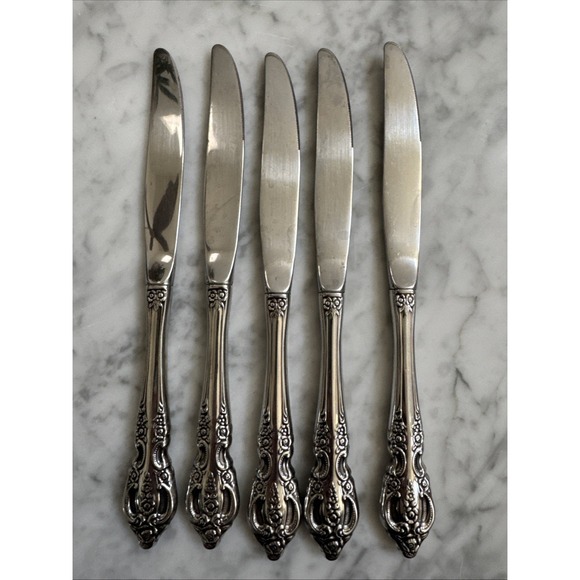 Oneida Other - Oneida Stainless Flatware RENOIR PEMBROOKE  SSS Dinner Knife USA- Set Of 5